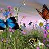 Nancy Thacker Photo 22