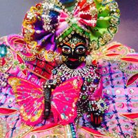 Bhavna Khurana Photo 7