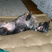 Darrel Foster Photo 13