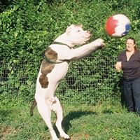 Julie Cable Photo 7