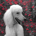 Jake Click Photo 8