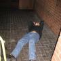 Daniel Hackett Photo 18