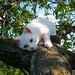 John Feher Photo 10