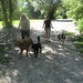Cindy Ellison Photo 20