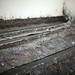 Richard Ernst Photo 8