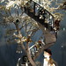 David Hoey Photo 17