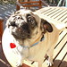 Marion Foster Photo 22
