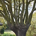 Beth Pollard Photo 15