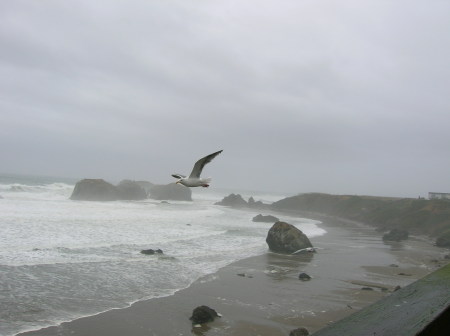 Janet Clark Photo 22