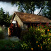 Ann Hunnicutt Photo 12