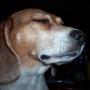 Frank Farias Photo 26