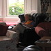 Sue Ard Photo 7