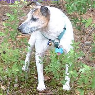 Nancy Capes Photo 2