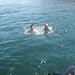 Kelly Mead Photo 6