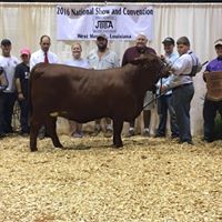 Chris Janssen Photo 46