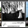 Jennifer Detar Photo 12
