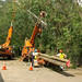 Troy Workman Photo 19