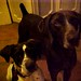 Heather Jacks Photo 4