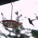 Shelia Turner Photo 19