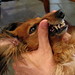 Kimberly Kramer Photo 9
