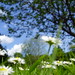 Deborah Wilder Photo 27