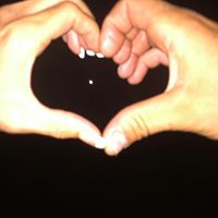 Crystal Koch Photo 4