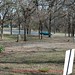 Austin Plummer Photo 14