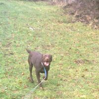 Ruby Hunt Photo 16