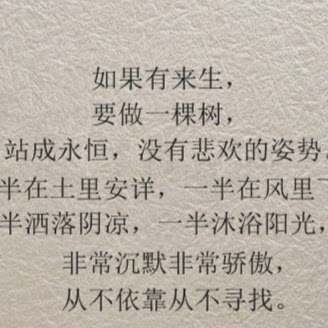Sai Liu Photo 16