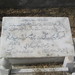Syed Arshad Photo 22
