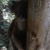 Ann Proctor Photo 9