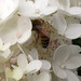 Sandra Keene Photo 11