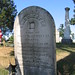 Chester Brown Photo 49