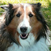 Kevin Meadows Photo 22