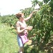 Donna Pick Photo 10