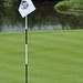 Ricky Fowler Photo 43