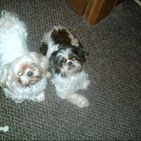 Jessica Helms Photo 32