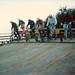 Shaun Howe Photo 23