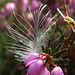 Heather Downing Photo 33