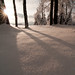 Christopher Schmid Photo 35