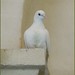 Francis Lang Photo 14