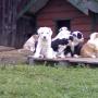 Todd Workman Photo 20