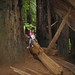 Beth Stout Photo 15