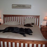 Nancy Schenkel Photo 10