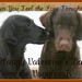 Penny Valentine Photo 11
