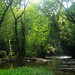 Ken Hopson Photo 12