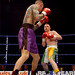 Dan Guthrie Photo 10