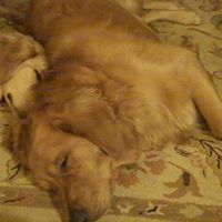 Susan Krause Photo 29