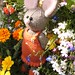 Julie Ard Photo 16