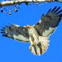 Terry Morgan Photo 6